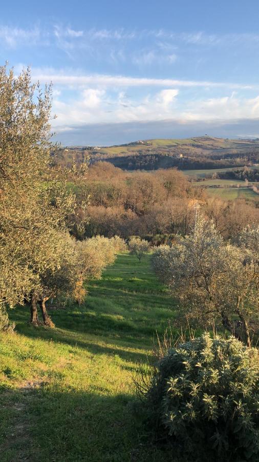 Il Capanno Villa Asciano Eksteriør bilde