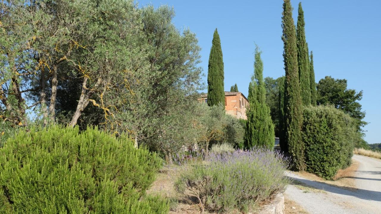 Il Capanno Villa Asciano Eksteriør bilde